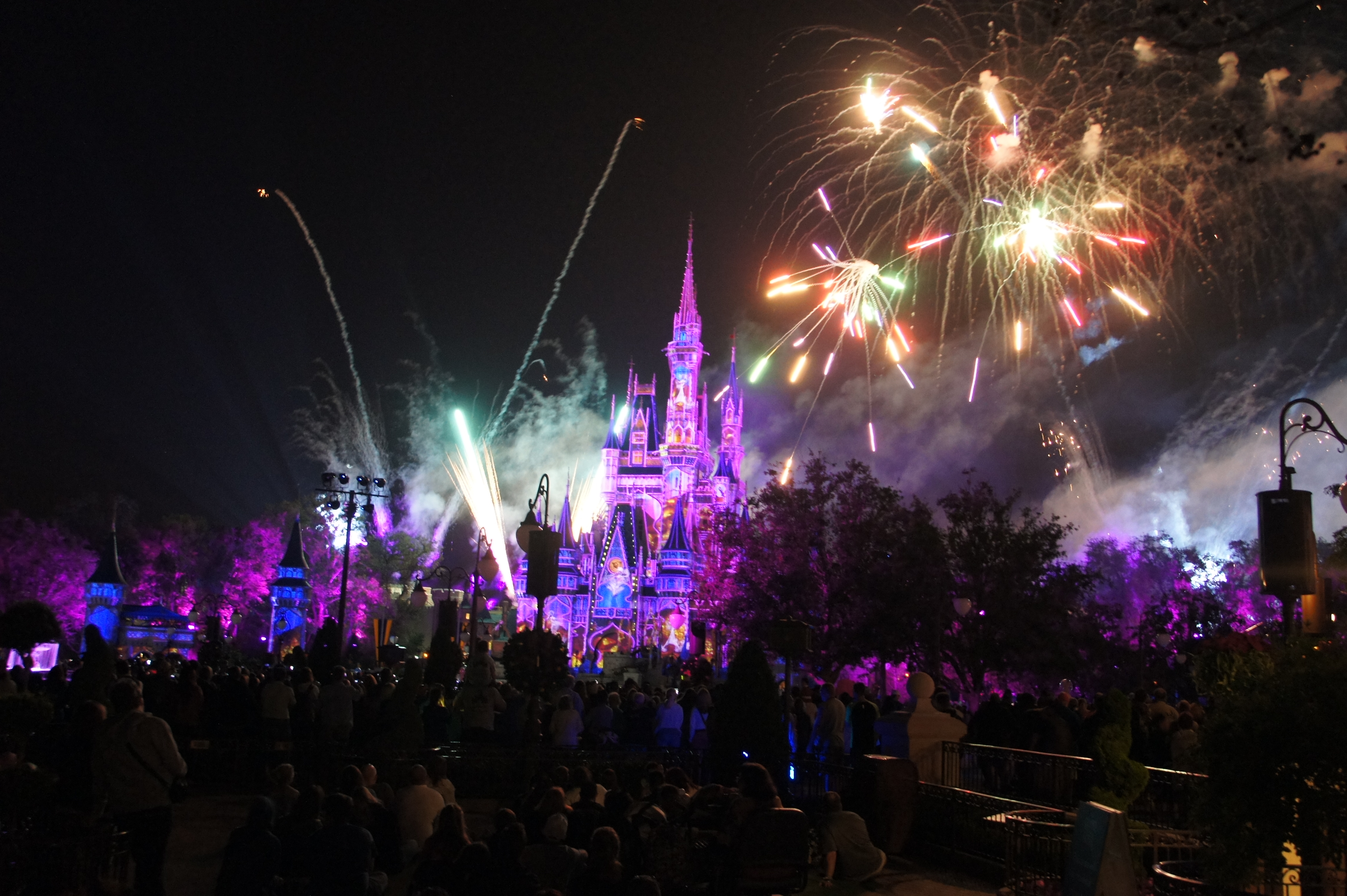 Happily Ever After… - Disney Castle Dreaming Travel